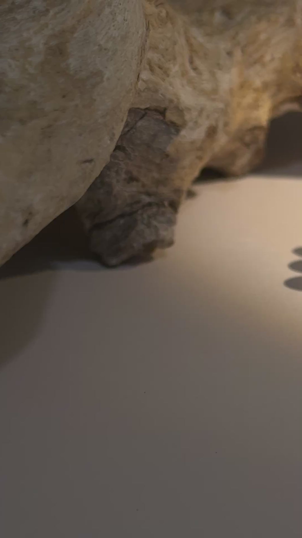 Ocaso Fragmentado. Pulsera